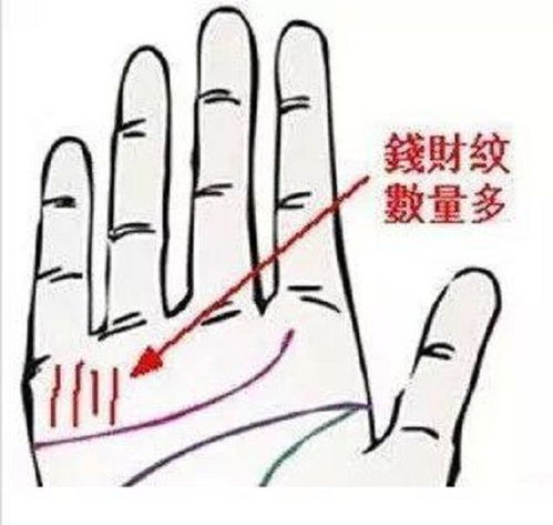 无名指姻缘(无名指相学)