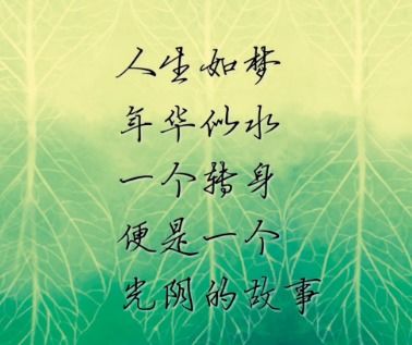 迷若谷姻缘(迷若是什么意思)
