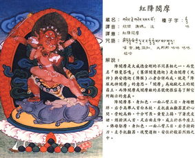 唐卡求姻缘(唐卡解释)