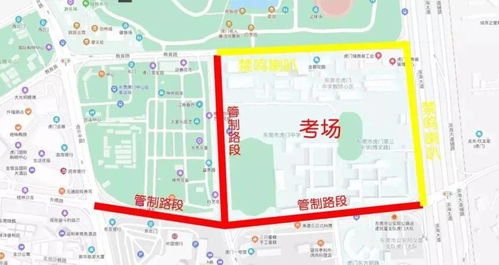 花龟管姻缘(花龟是镇宅辟邪的吗)