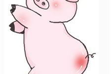 猪跟兔姻缘(猪跟兔的婚姻婚姻状况)