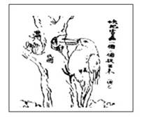 啄木鸟姻缘(啄木鸟 胜)
