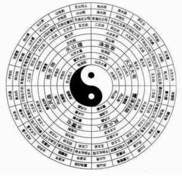 九星测姻缘(九星算命占卜)