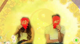 姻缘何时来到(姻缘几时到)