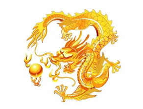 属龙31姻缘(属龙姻缘在哪年最旺盛)