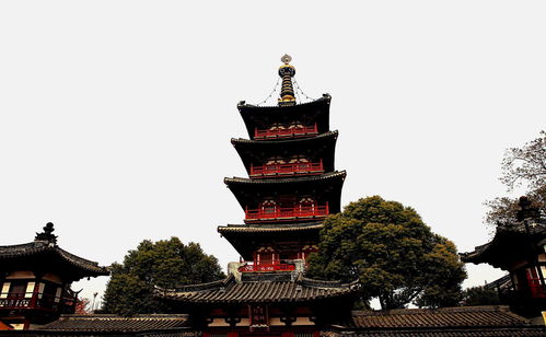 会龙山求姻缘(龙山寺求姻缘)