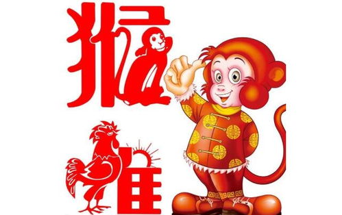 鸡的姻缘属(鸡的婚姻)