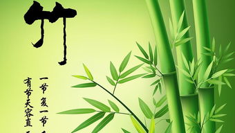 竹子和姻缘(竹子和竹子之间用什么连接最好)