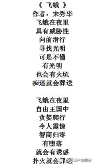 悲伤姻缘小说(悲伤姻缘歌词中文音译)