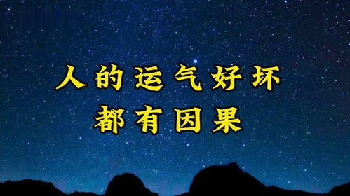 凡事皆姻缘(世间姻缘,皆是因果)