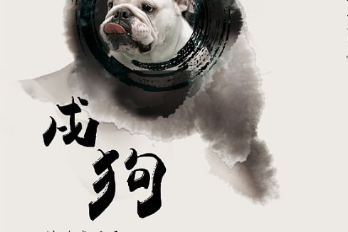 属狗姻缘签(生肖狗姻缘财运解析)