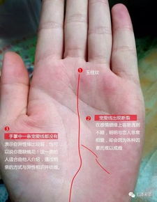 姻缘线男(手相姻缘线男)