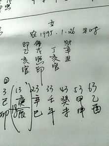 太阳星姻缘(算命太阳星是什么意思)