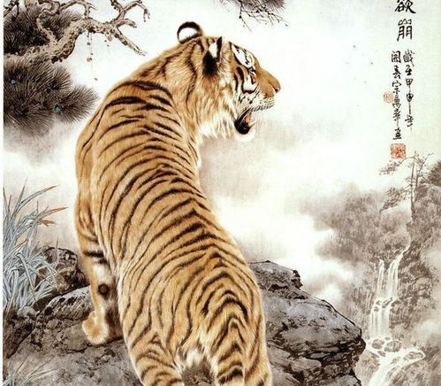 虎配对姻缘(虎相配婚姻幸福吗)