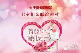 河南鹊桥姻缘(鹊桥相亲网站)