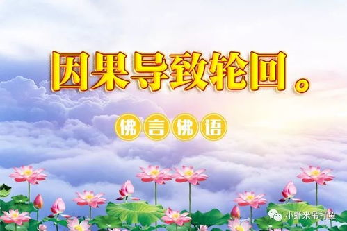 轮回的姻缘(轮回的含义)