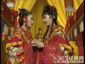 解善姻缘(巧解姻缘说善恶)