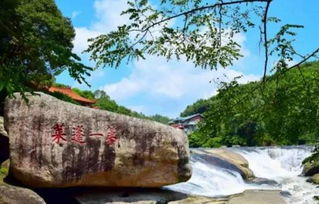 中山姻缘树(广东姻缘石风景区)
