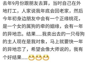 最准箅姻缘(最准的姻缘)