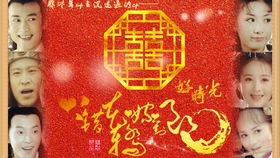 姻缘天结合(巧结姻缘天作合)