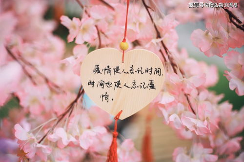正姻缘术(正姻缘是什么)
