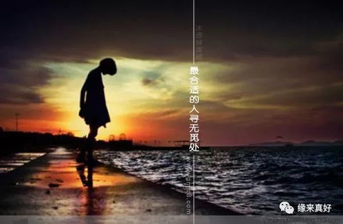 雷击木姻缘(雷击木对婚姻有什么帮助)