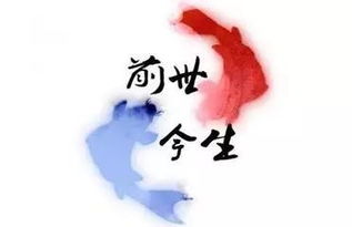 自律姻缘(自律夫妻)