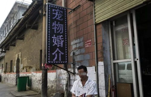 廊坊姻缘(廊坊市有名婚姻介绍所有哪些)