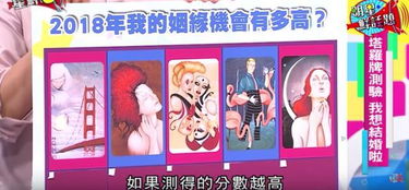 姻缘综艺(姻缘》
