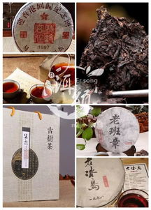 喝茶姻缘(与茶的缘分)