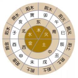 地支姻缘(天干地支看姻缘)
