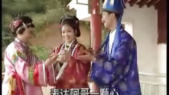 连理姻缘(姻缘巧配)