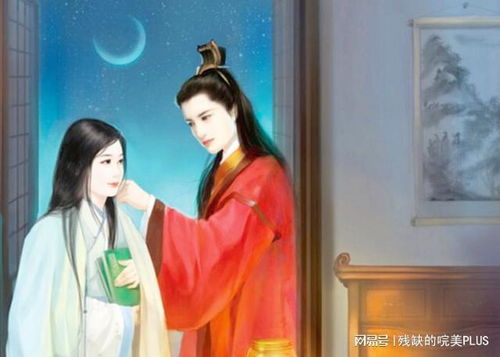 寡妇姻缘