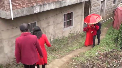乡下姻缘(乡村里的婚姻)