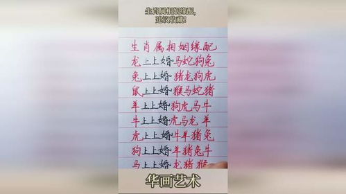 伴侣姻缘(姻缘相配什么意思)
