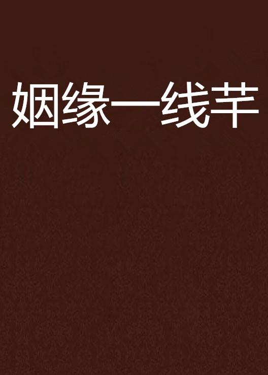 一个人的姻缘(一线姻缘)