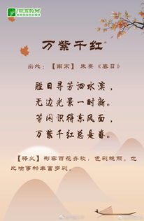 促成一对姻缘的诗句(良好姻缘成语)