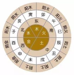 生肖五行配对姻缘查询(生肖五行属性搭配)