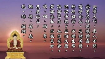 念准提咒求姻缘的事例(念准提咒求姻缘的事例视频)