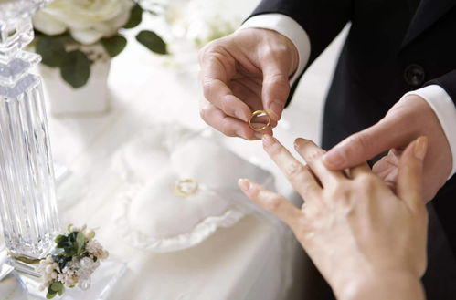 婚姻缘签22凤凰出林(第二十二签上上签凤凰出林婚姻百年)