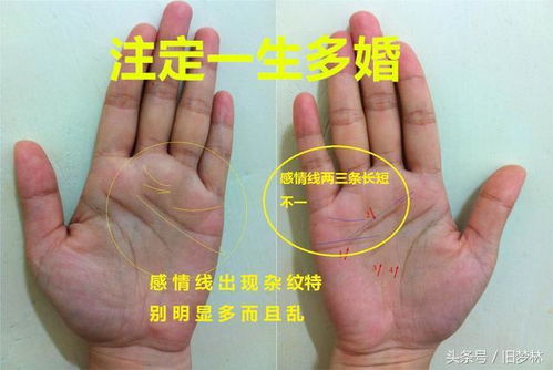 女人姻缘线(女人姻缘线怎么看)