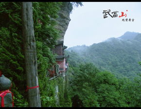 武当山求姻缘(武当山求姻缘的地方)