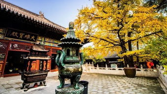 华岩寺求姻缘(华岩寺求姻缘的是哪座?