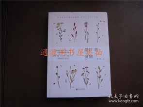 长翅膀大灰狼姻缘(长翅膀大灰狼小说)