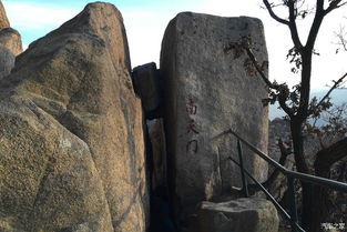 凤凰山姻缘树(凤凰山姻缘树在哪)