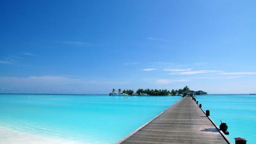 大海水与海中金姻缘(大海水和海中金命的做夫妻好吗)