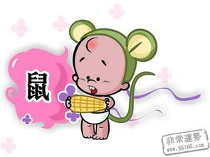 姻缘属相配(姻缘婚配)