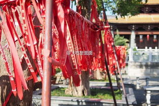 南宁求姻缘(南宁哪里求姻缘)