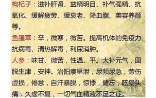 醒世姻缘传txt(醒世姻缘传薛素姐惩罚丈夫的手段)