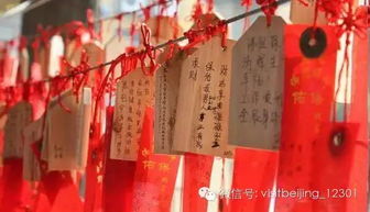 佛法求姻缘(佛教 求姻缘)